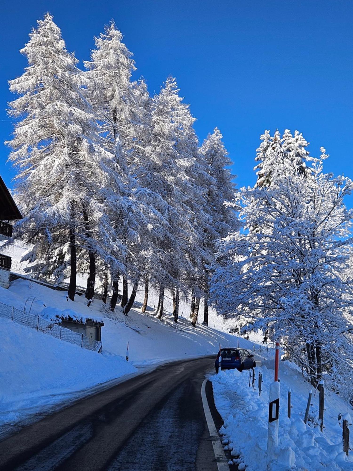 Sweet & Cosy Chalet In The Heart Of The Swiss Alps Troistorrents Екстериор снимка